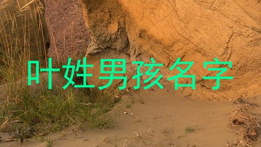 叶姓男孩名字
