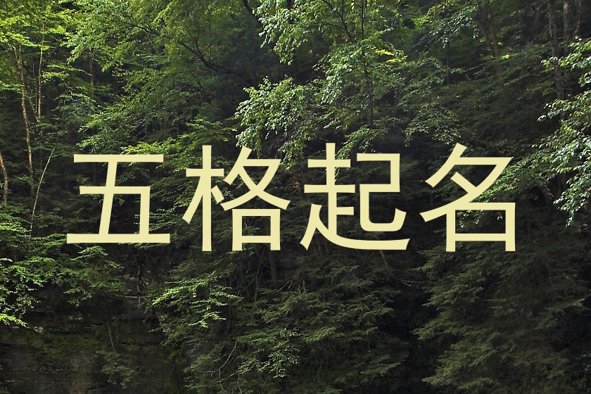 五格起名