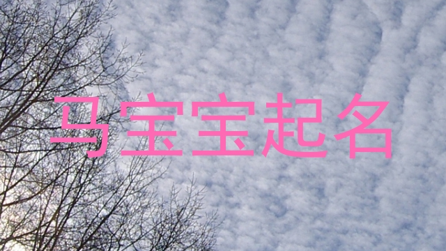 属马起名