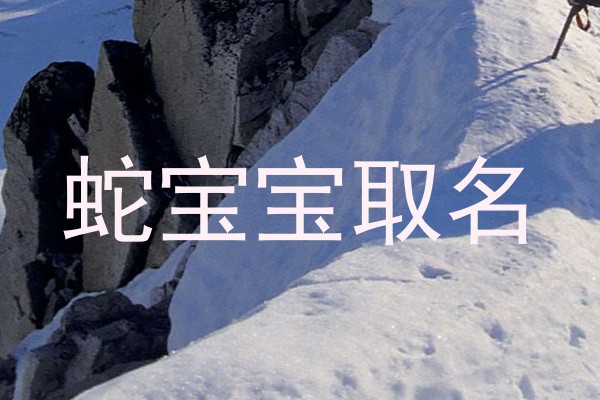 蛇宝宝取名