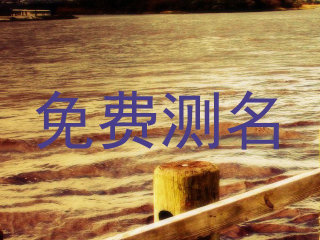 免费测名