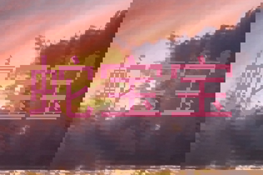 蛇宝宝