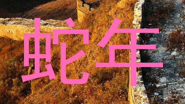 蛇年