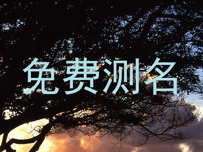 免费测名