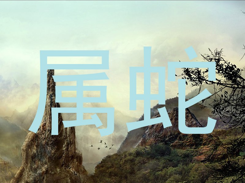 属蛇