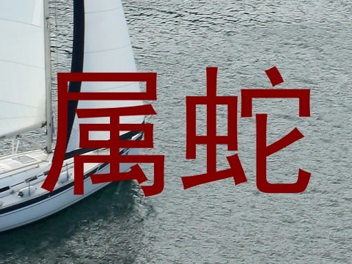 属蛇