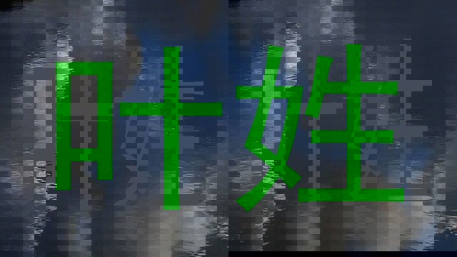 叶姓