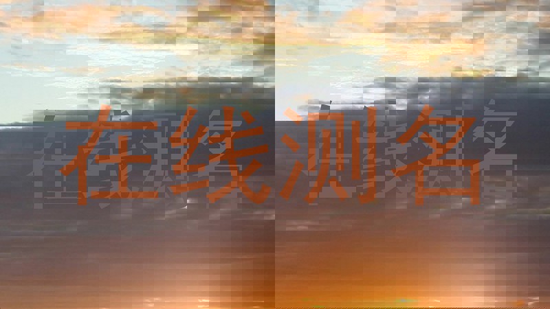 在线测名