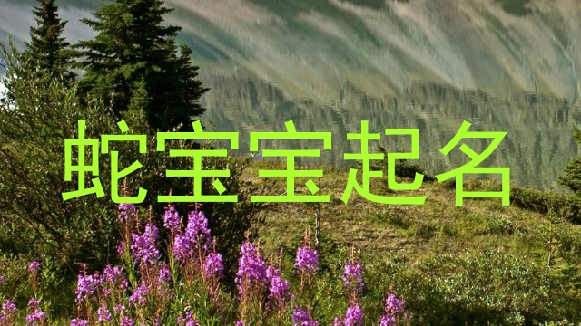蛇宝宝起名