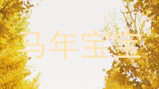 马年宝宝