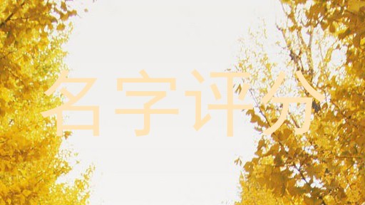名字评分