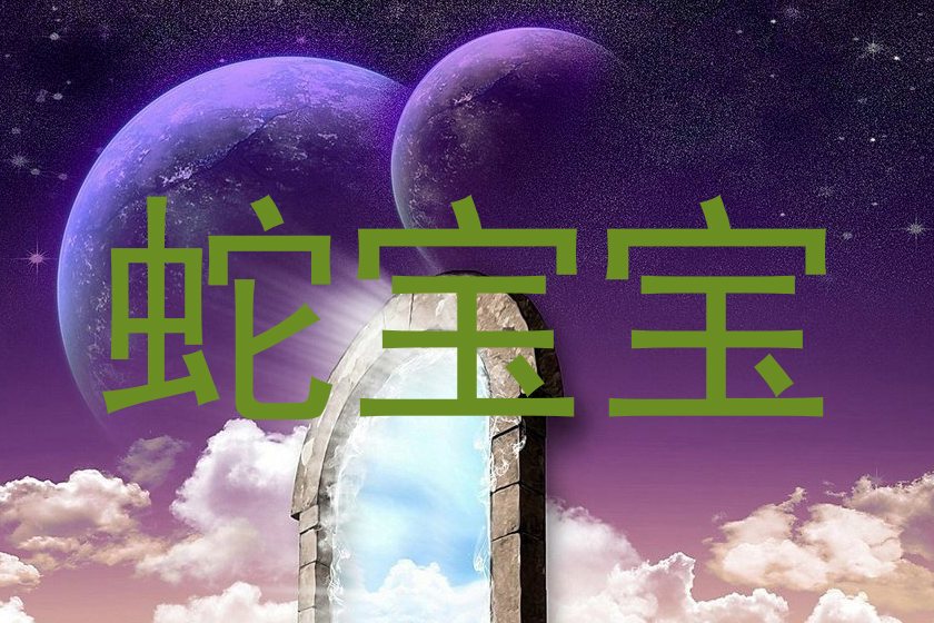 蛇宝宝