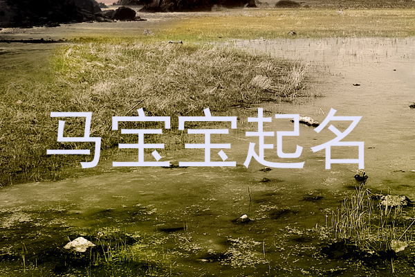 马宝宝起名