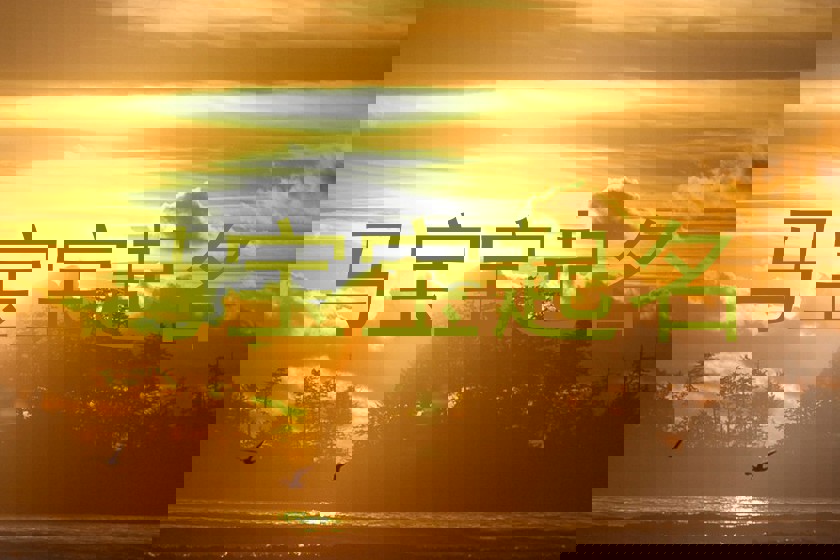 肖姓