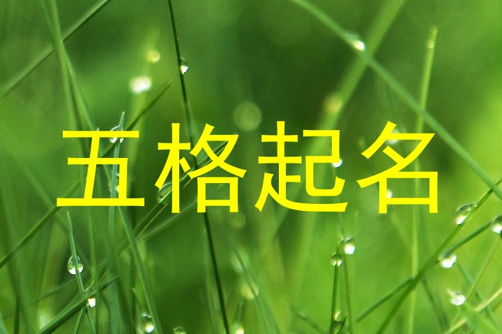 五格起名