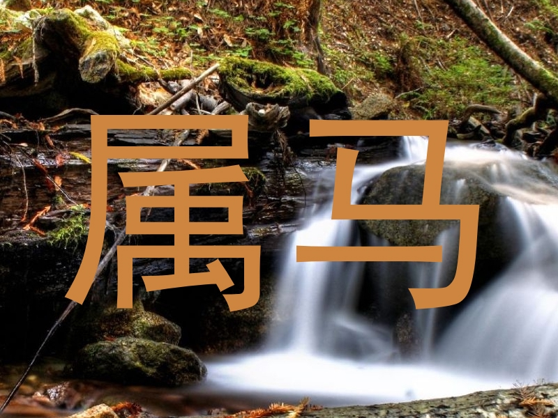 属马