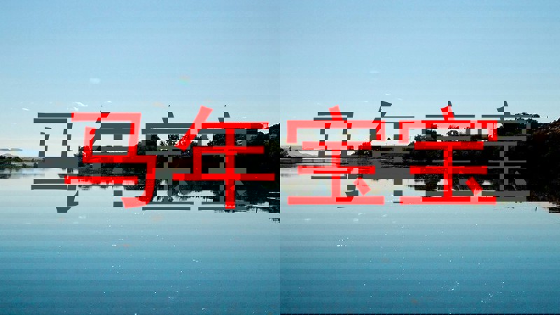 马年宝宝