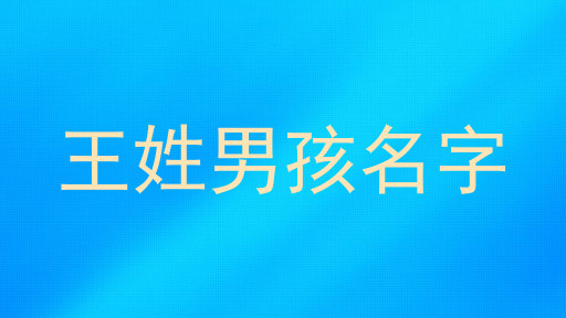 王姓男孩名字