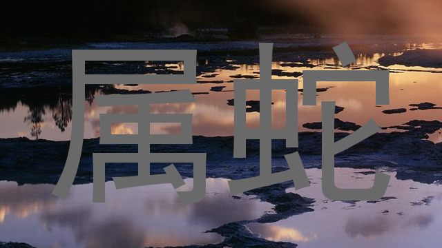 属蛇