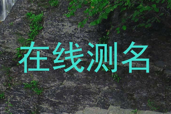 在线测名
