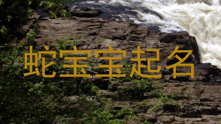蛇宝宝起名
