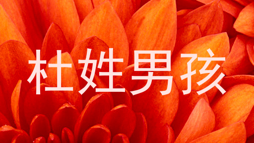 杜姓男孩