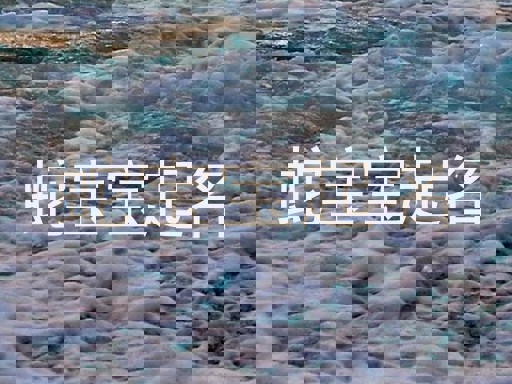 蛇宝宝