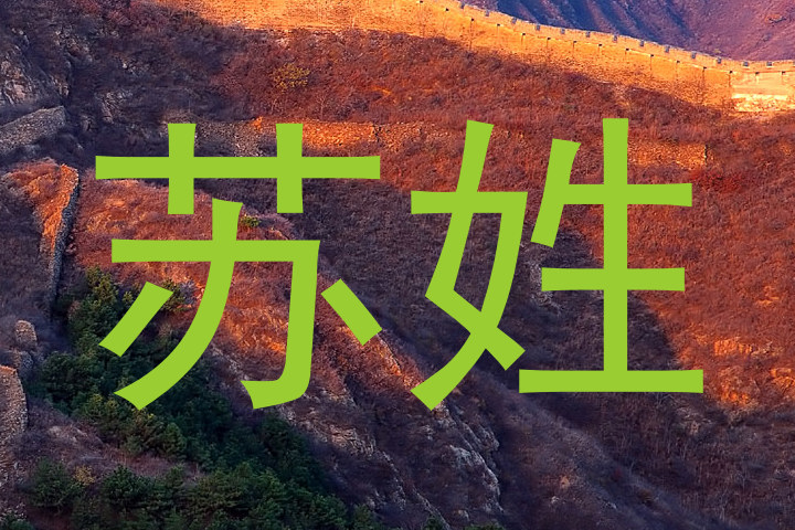 苏姓