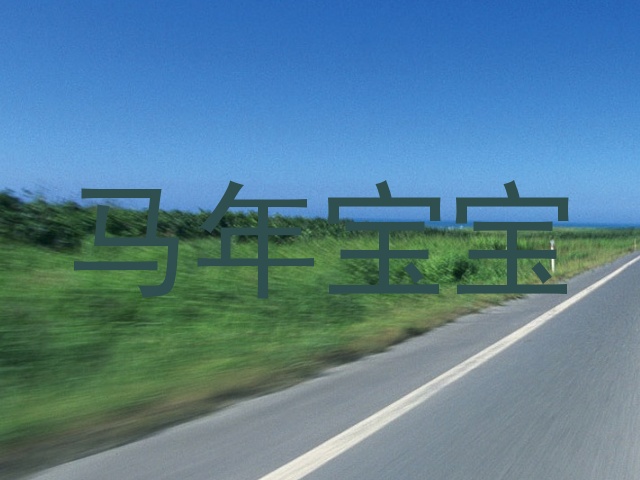 马年宝宝