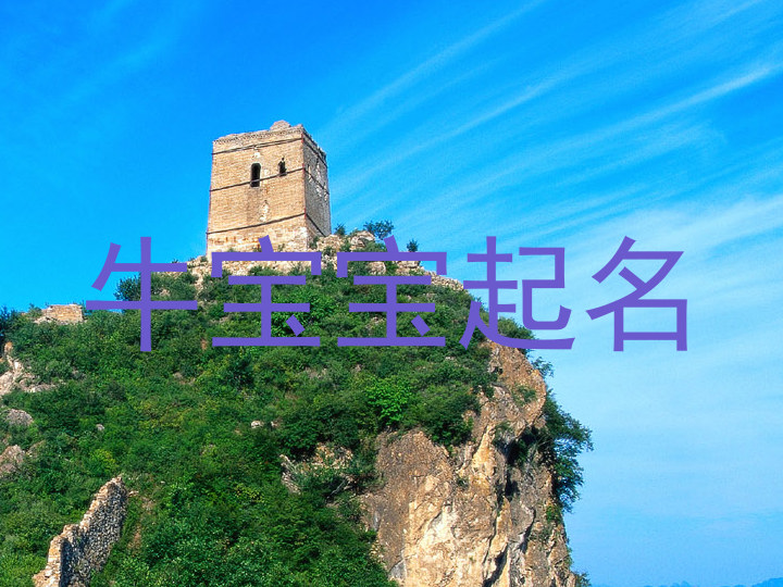 牛宝宝起名