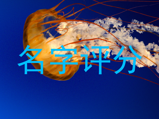 起名宝典