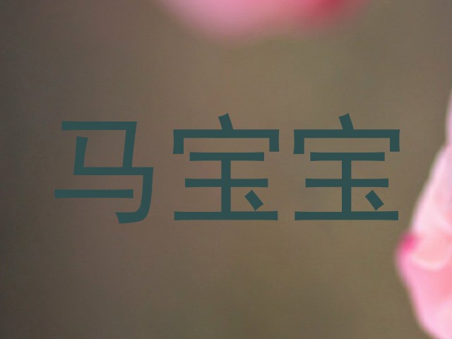 马宝宝
