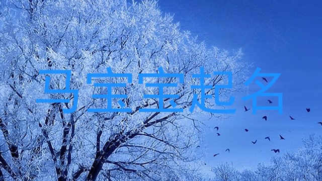 马宝宝起名