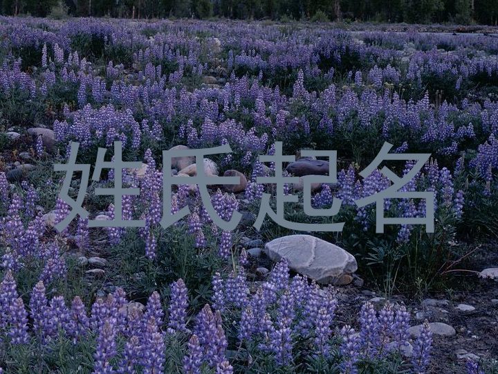 叶姓