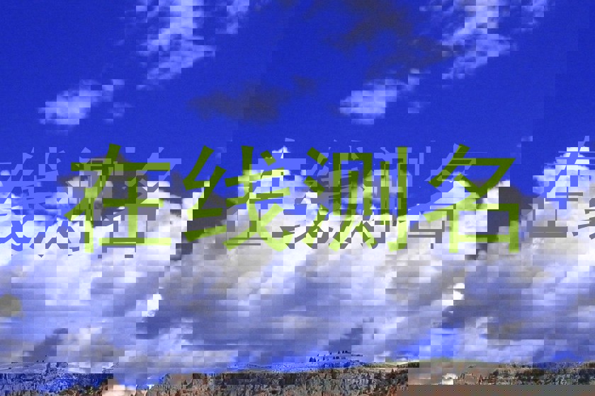 在线测名