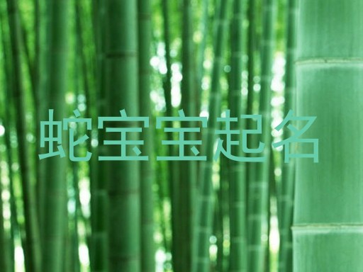 蛇宝宝