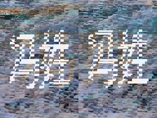 冯姓