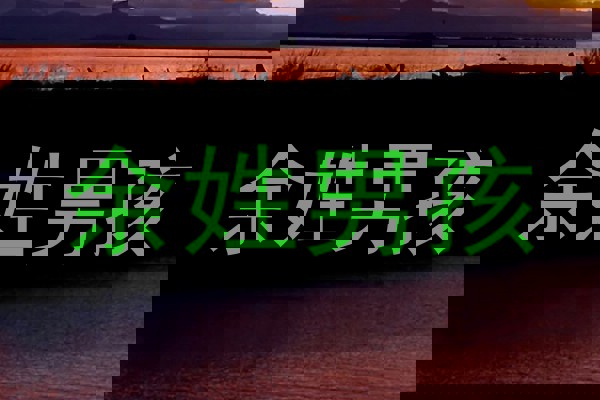 余姓男孩
