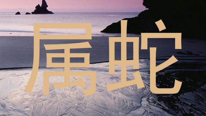 属蛇