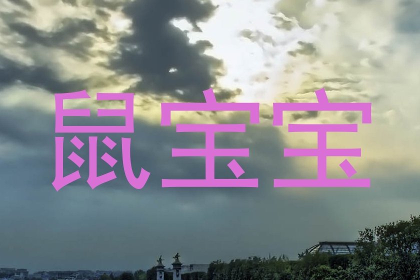 鼠宝宝