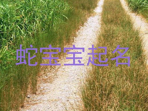 赵姓