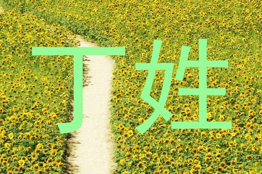 丁姓