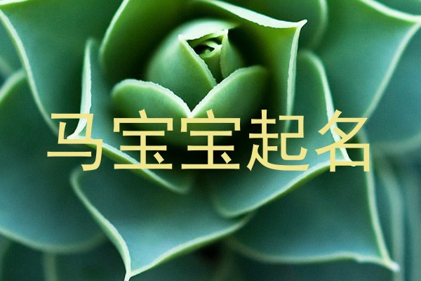 马宝宝起名