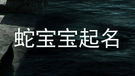 蛇宝宝
