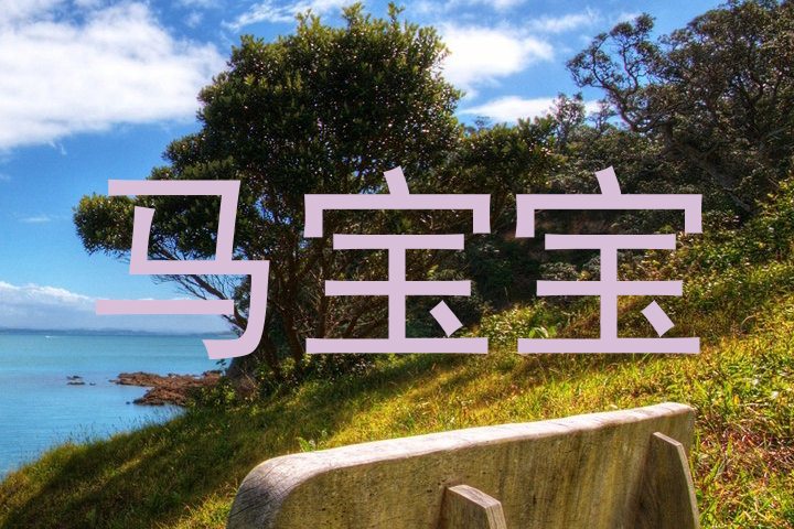 马宝宝