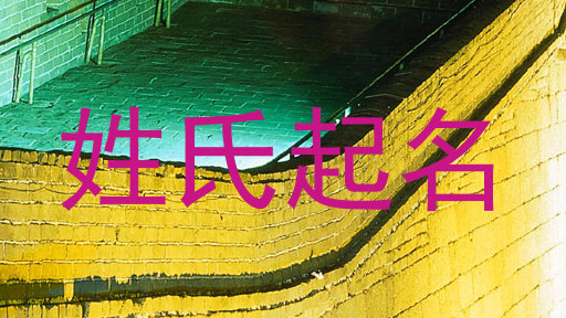 姓氏起名
