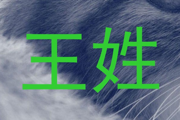 王姓