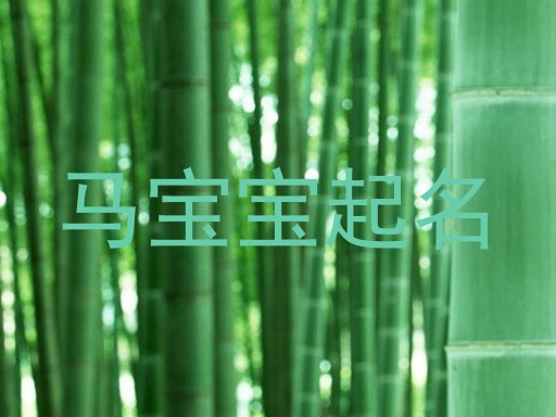 马宝宝起名