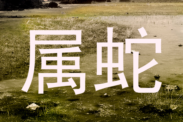 属蛇