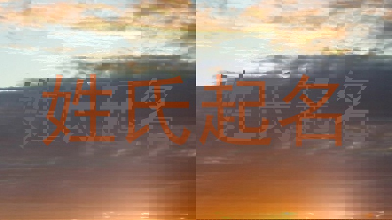姓氏起名